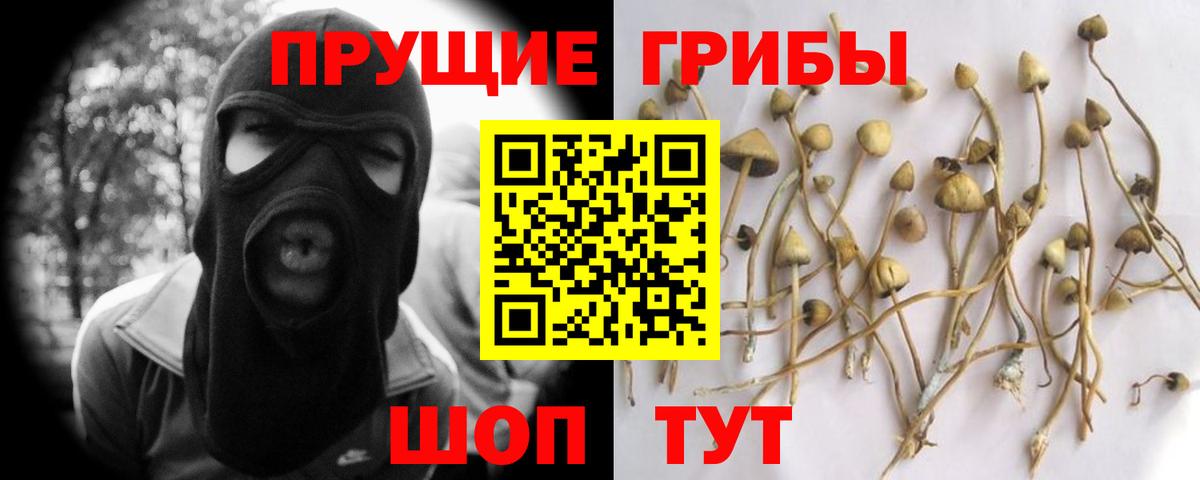 Галлюциногенные грибы ЛСД Кольчугино