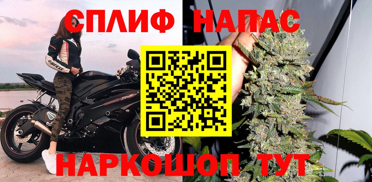 Марихуана сатива Кольчугино